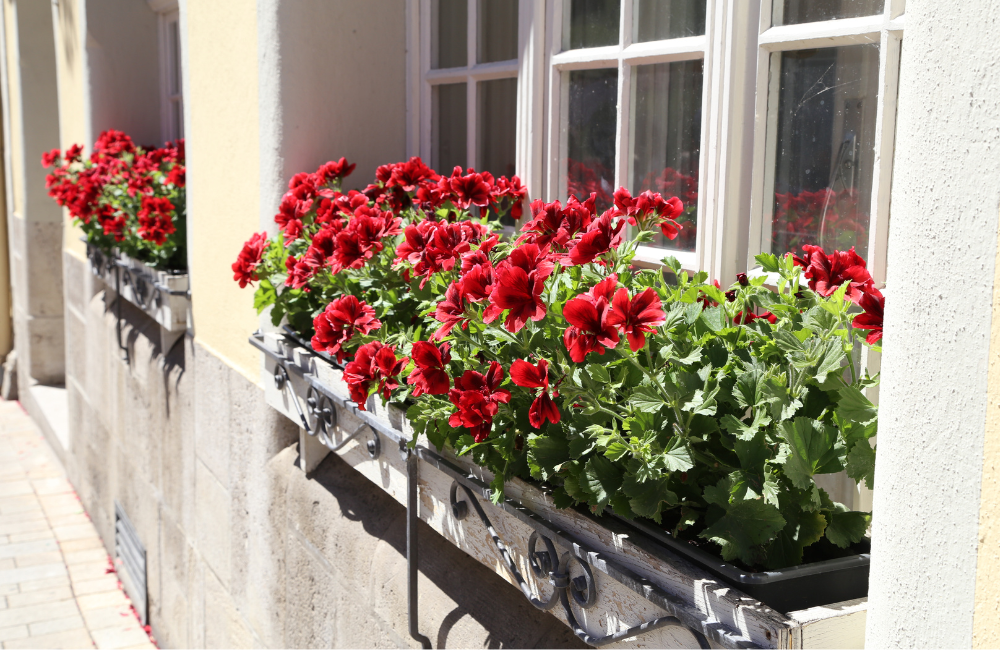 decoracion-balcones-6