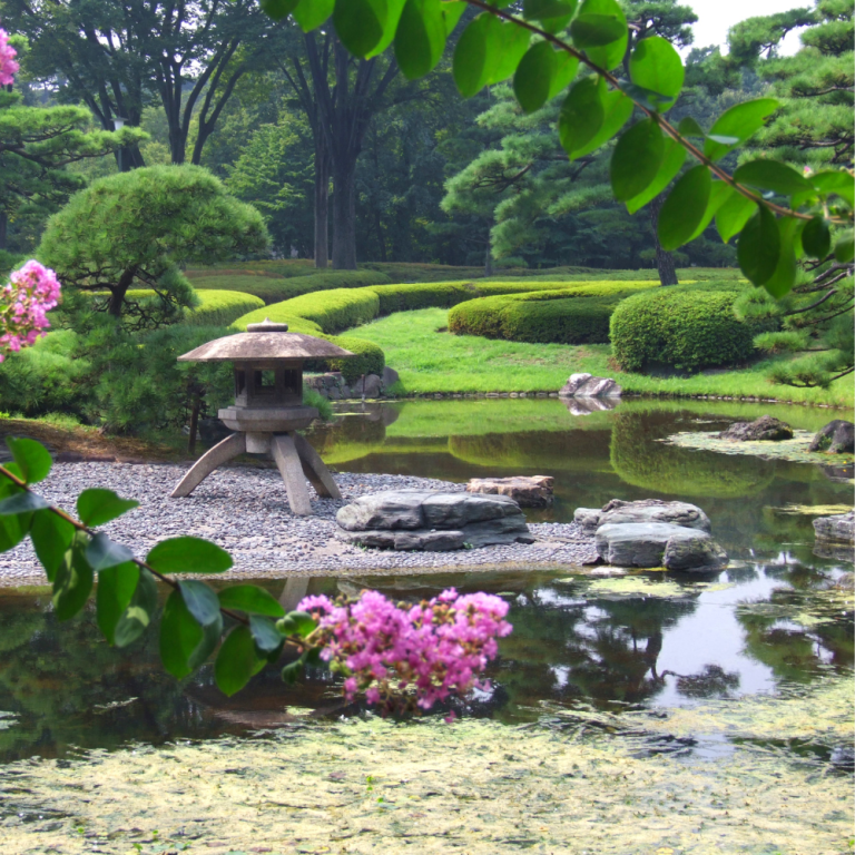 construcción-de-jardines-2