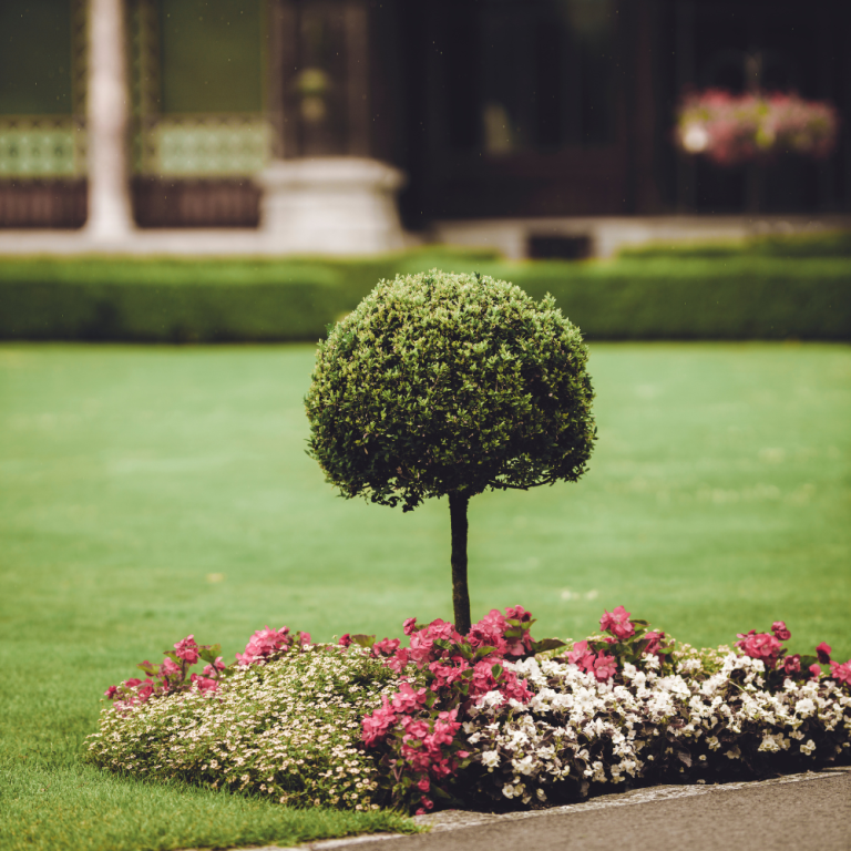 construcción-de-jardines-6