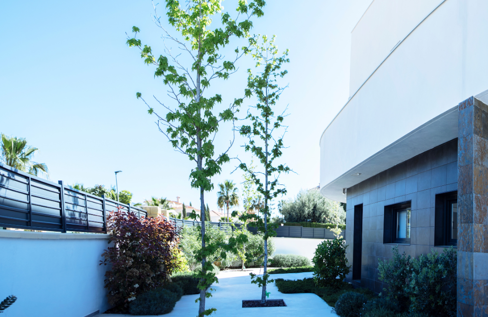 diseño-de-jardines-3