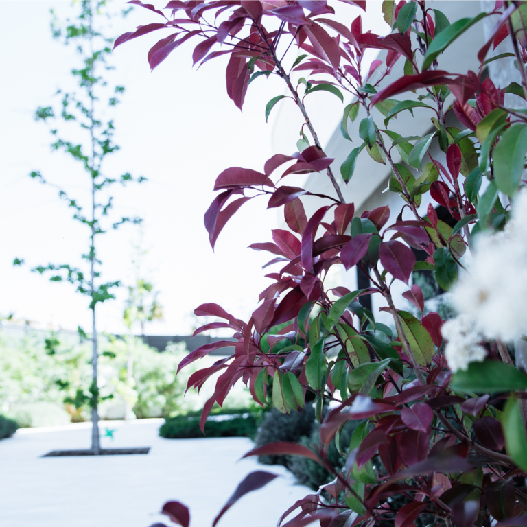 diseño-de-jardines-8