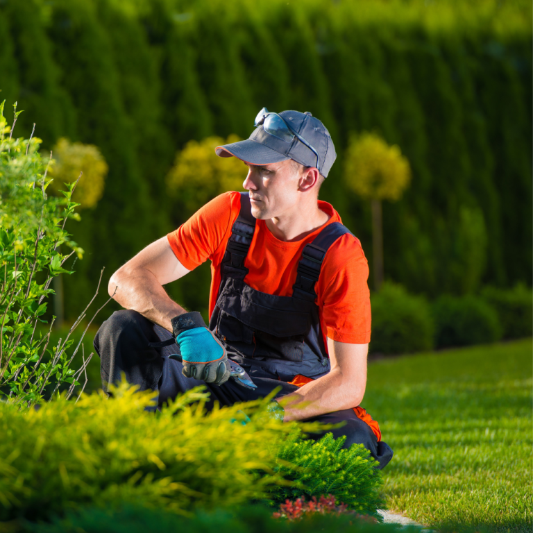 diseño-de-jardines-profesionales-2