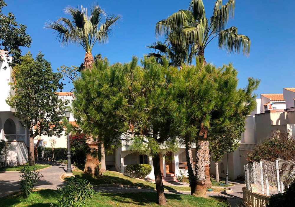 mantenimiento-de-jardines-1