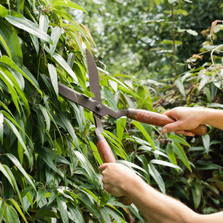 mantenimiento-jardines-bloques
