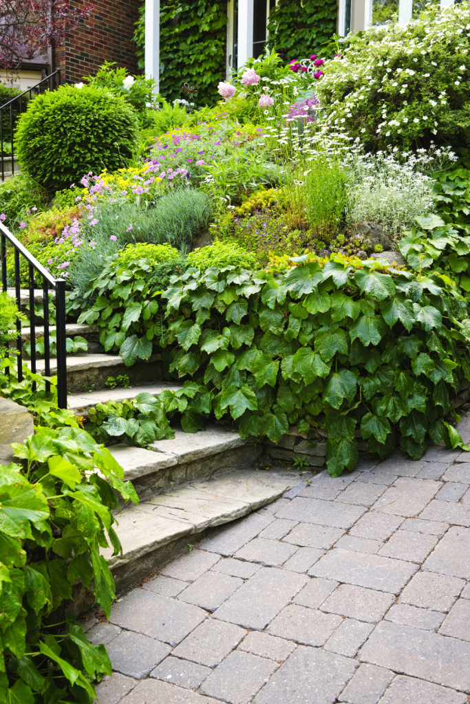 mantenimiento-jardines-sostenibles