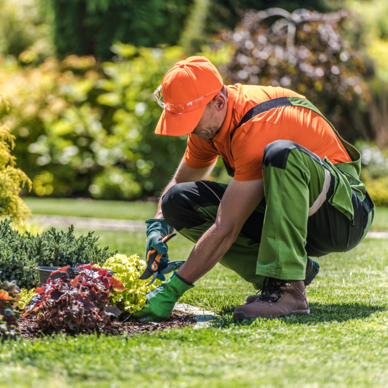 mantenimiento-poda-jardines