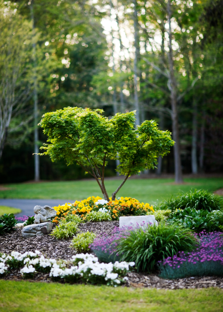proyectos-de-jardineria-y-paisajismo-2