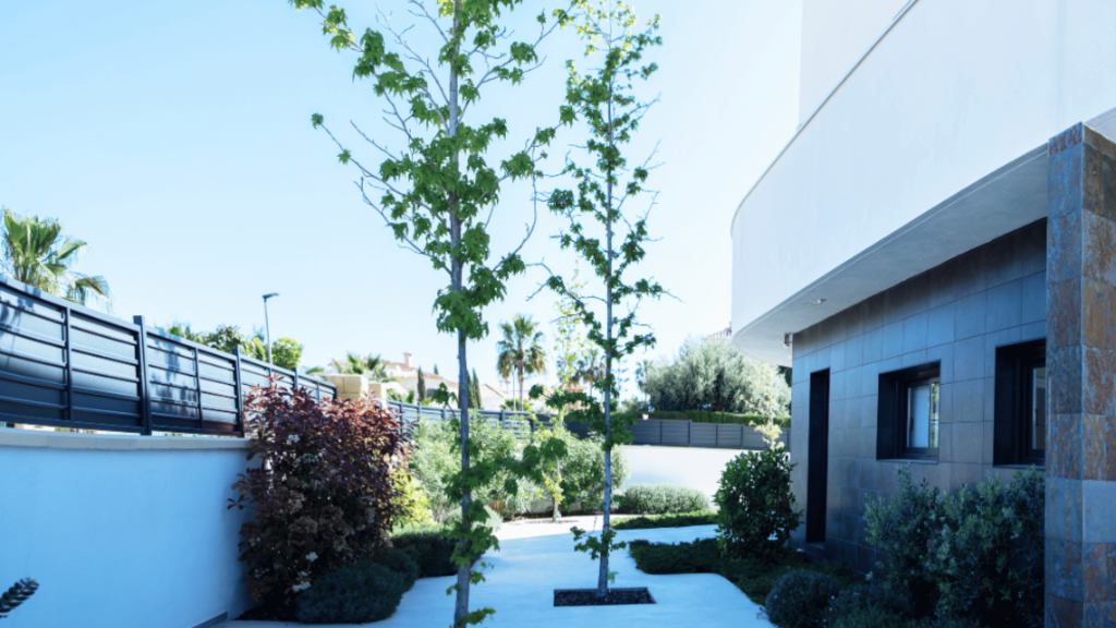 cesped-artificial-patios-interiores-3